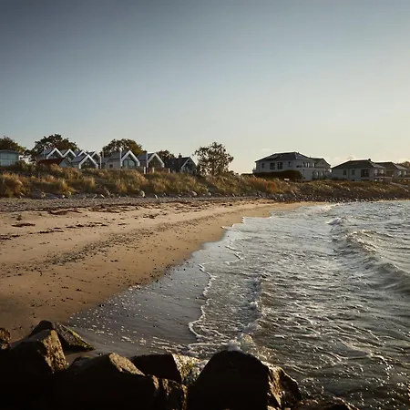 Gold Iii Fehmarn