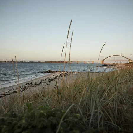 Gold Iii * Fehmarn