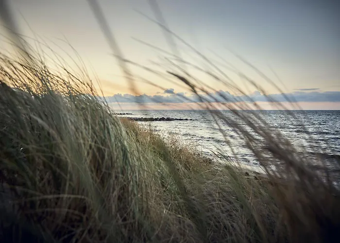 Vakantiehuis Gold Iii